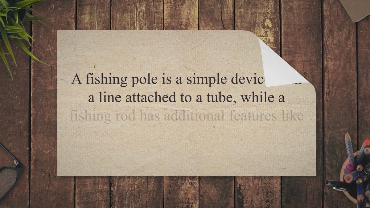 Fishing Rod VS Fishing Pole What Is The Difference?