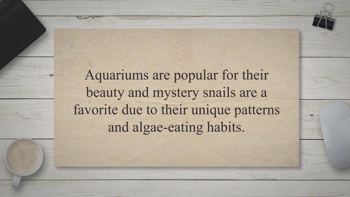 8 Reasons Why Mystery Snail Not Moving (6 Ways To