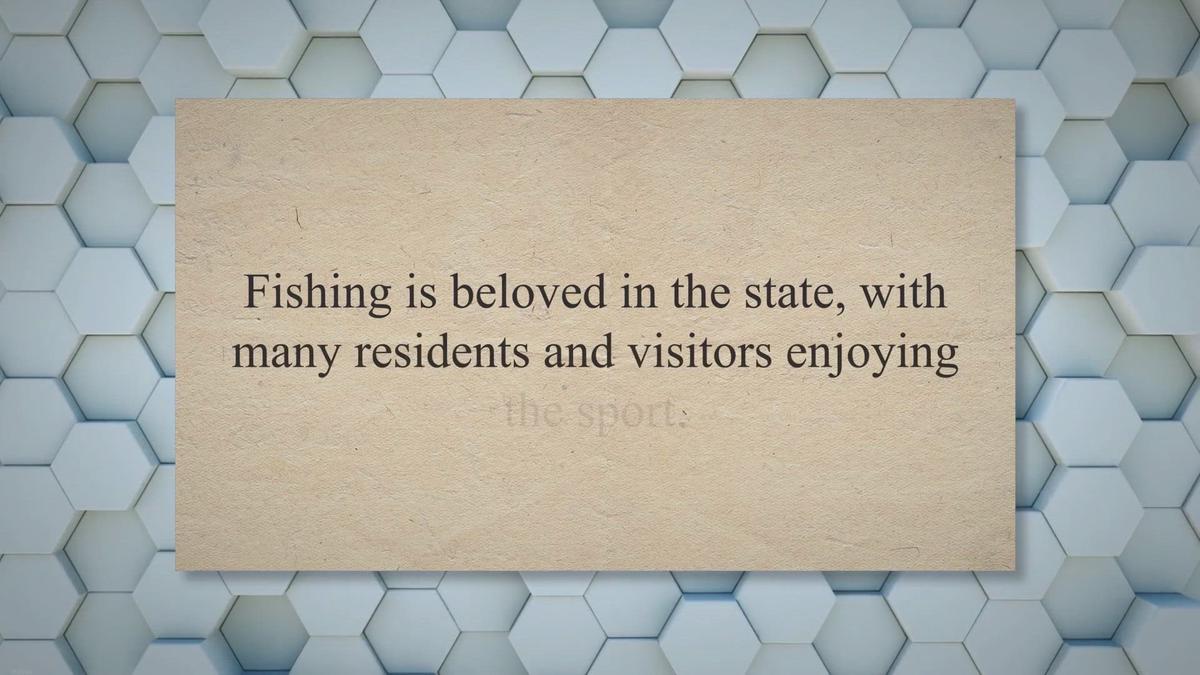 How Many Fishing Rods per Person in New Hampshire