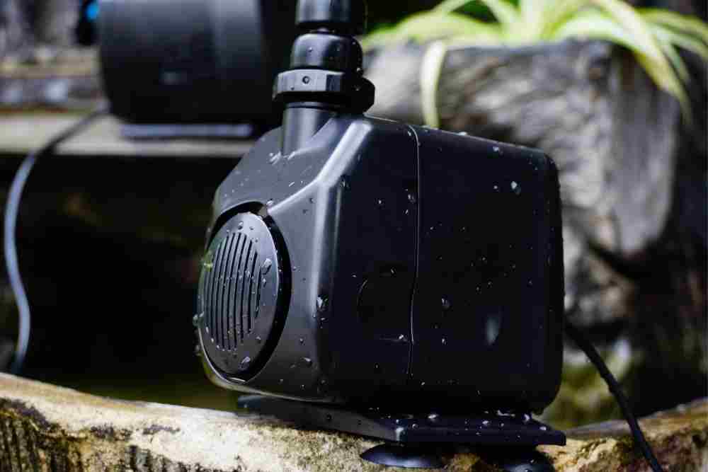 Is An Air Pump Necessary For An Aquarium? AquariumPub