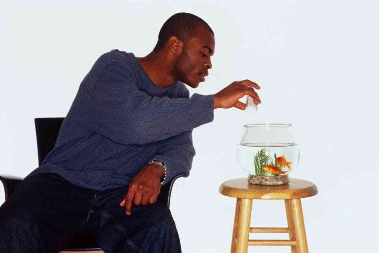 what-do-goldfish-eat-all-you-need-to-know-aquariumpub