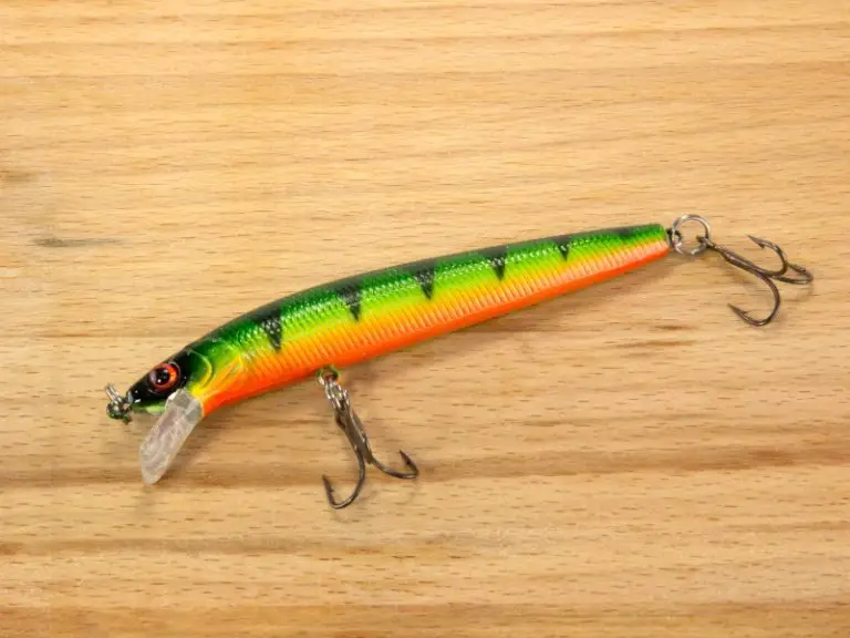 Artificial Vs. Live Bait Which One Is Better? AquariumPub