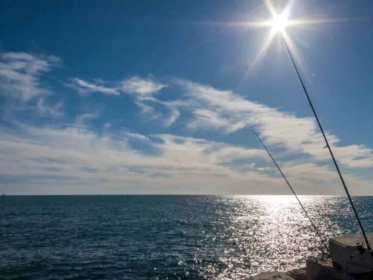 Bass Fishing on Sunny Days