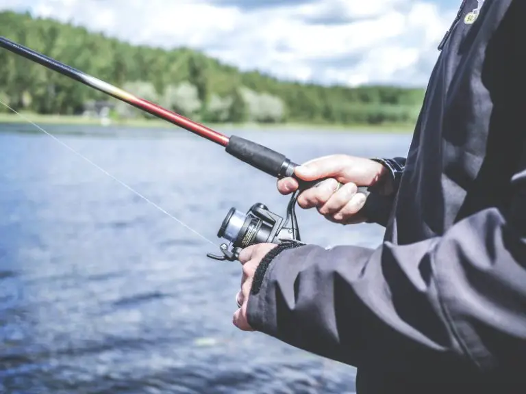 Best Fishing Rod Warranty