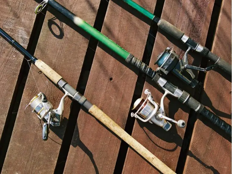 Best Fishing Rods For Bass