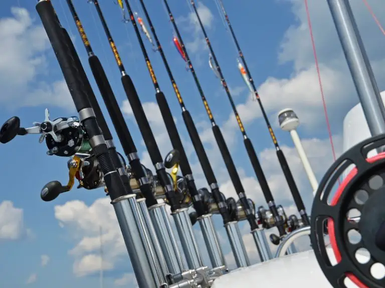 Best Fishing Rods For Beginners