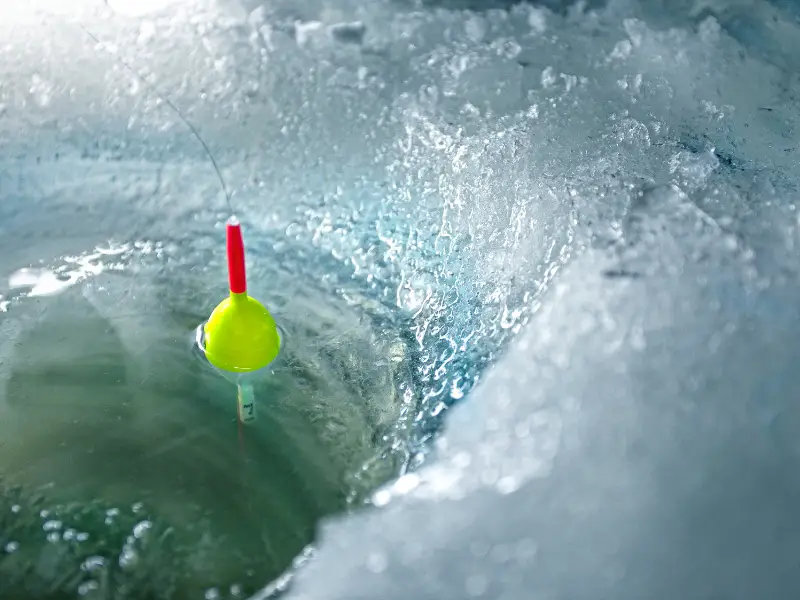 14 Best Ice Fishing Baits For Trout AquariumPub