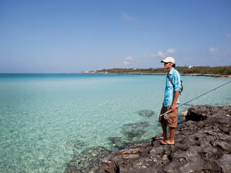 Best Time to Go Saltwater Fishing