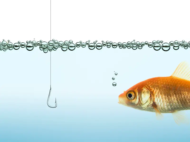 Can You Fish Without Hooks? AquariumPub