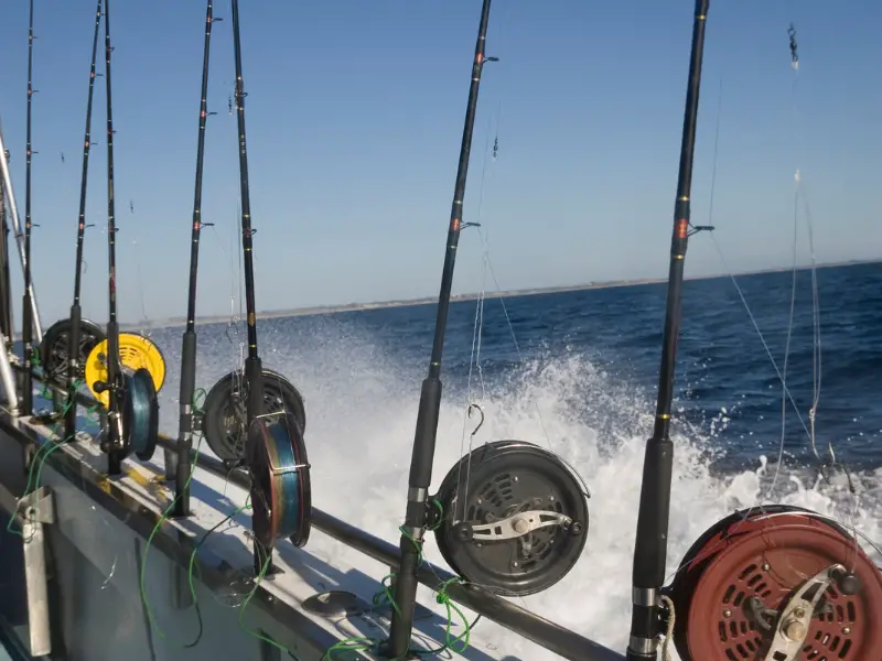 Can You Use A Boat Rod For Pier Fishing? 5 Ways To Do It Right ...