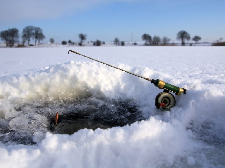 Can You Use Worms For Ice Fishing