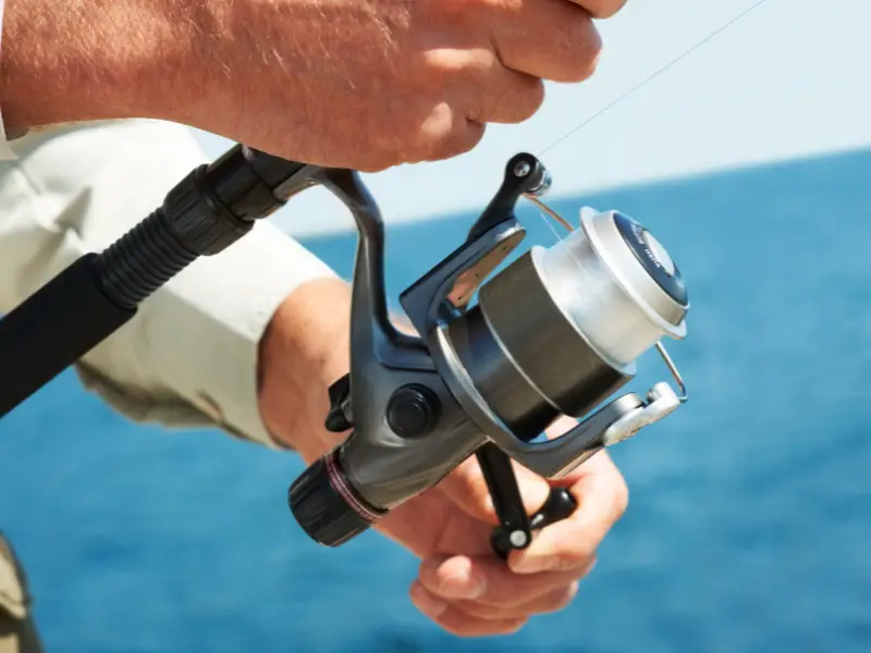 Daiwa Fishing Reels History and Origin