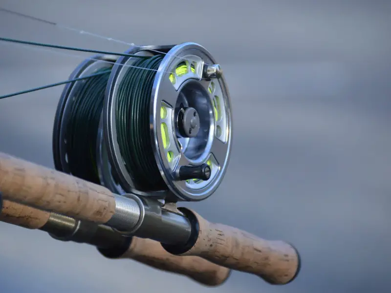 Difference between Open Face and Closed Faced Reels