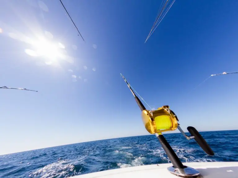 Inshore Vs. Offshore Fishing 8 Differences You Need To Know About