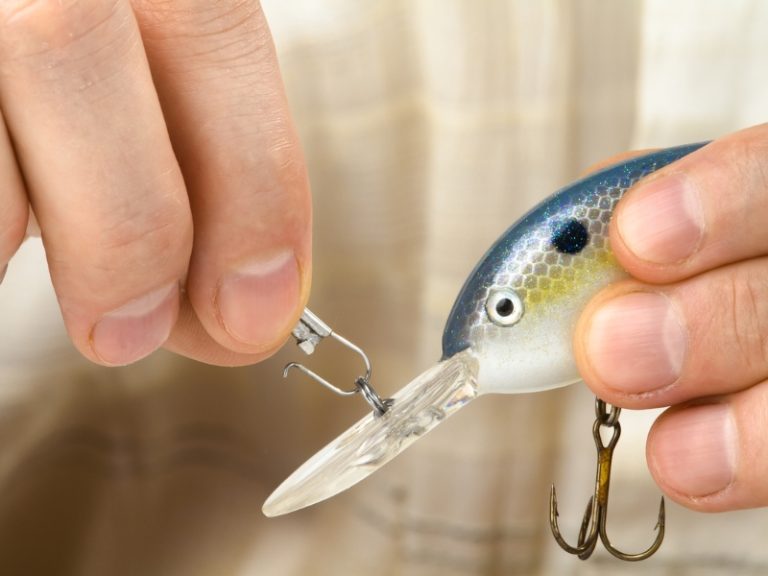 Different types of fishing plugs