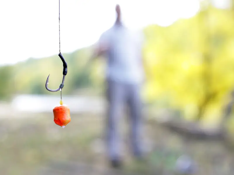 Do Fishing Hooks Dissolve? AquariumPub