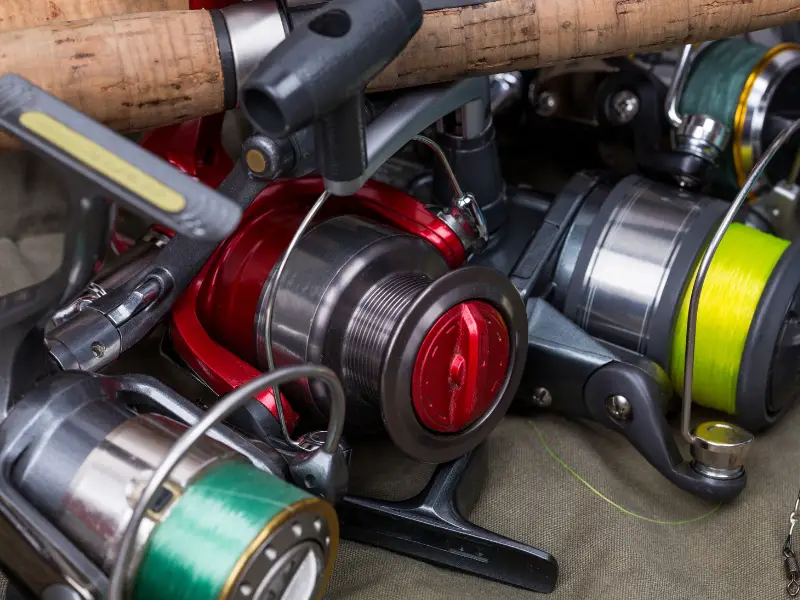 Does Fishing Line Color Matter? AquariumPub