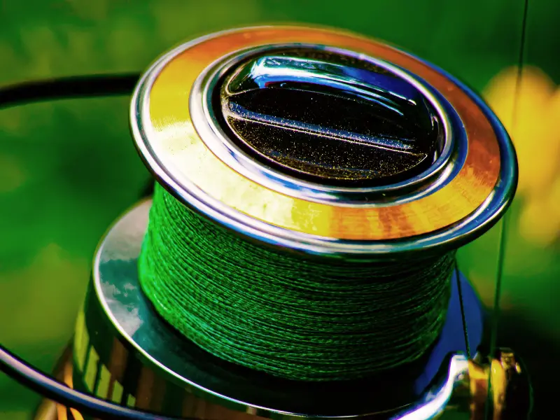 Does Fishing Line Go Bad? AquariumPub