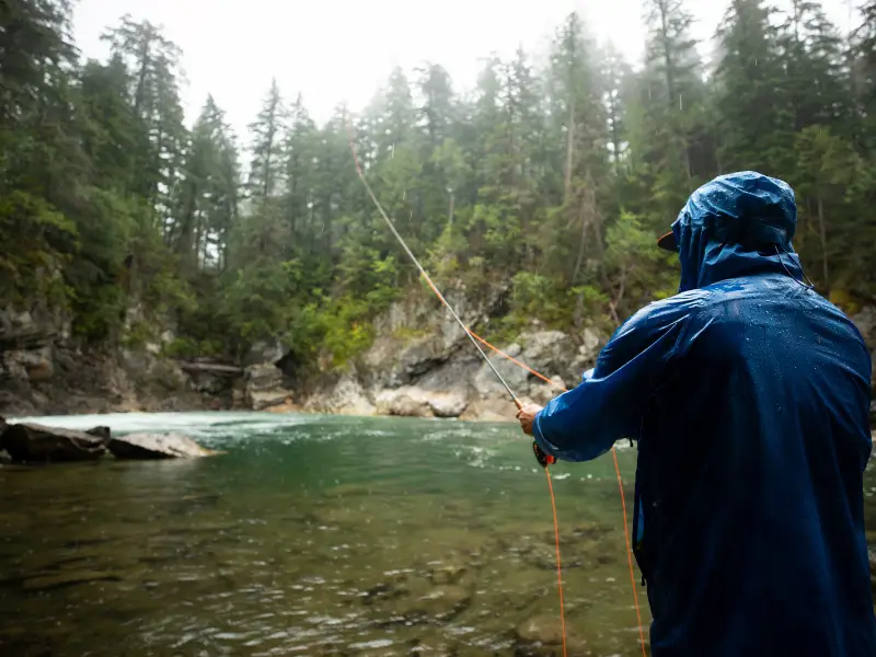 Does Rain Affect Fishing? AquariumPub