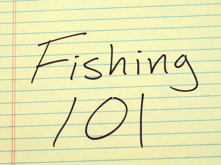 Getting a Fishing License