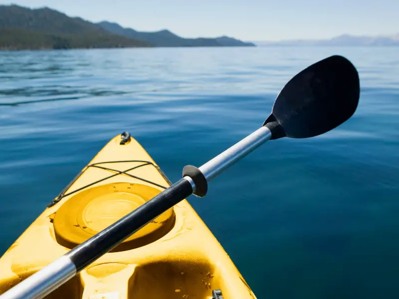 Hobie Outback VS Compass Which Kayak Should You Choose? AquariumPub