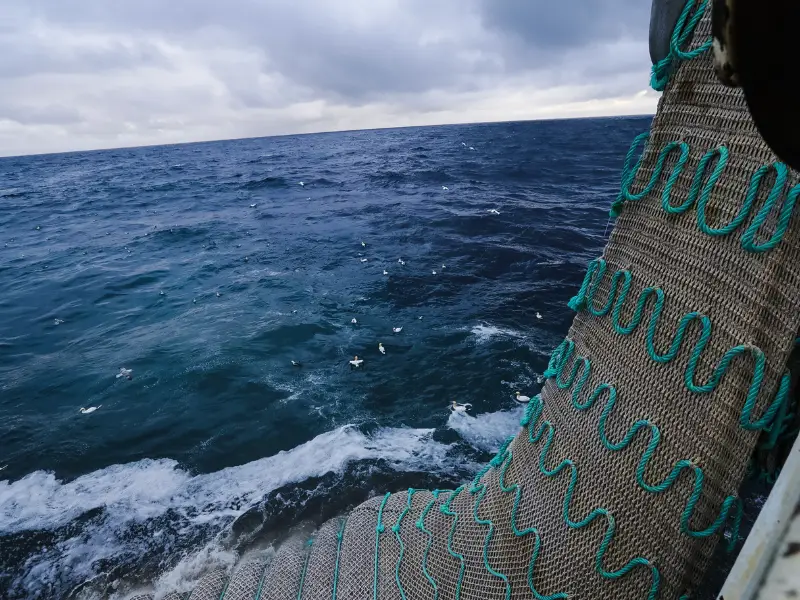 How Do Fishing Nets Work? AquariumPub