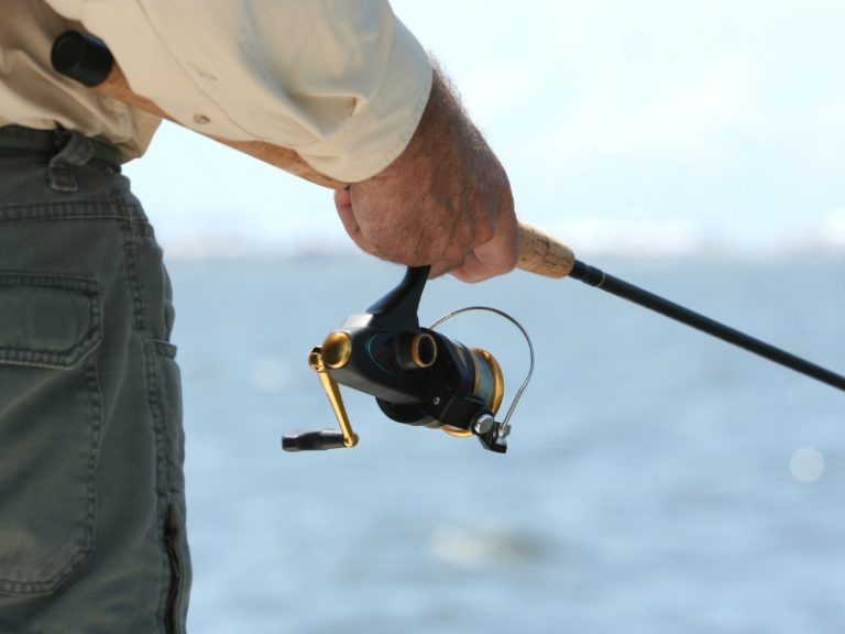 How Do Fishing Reels Work