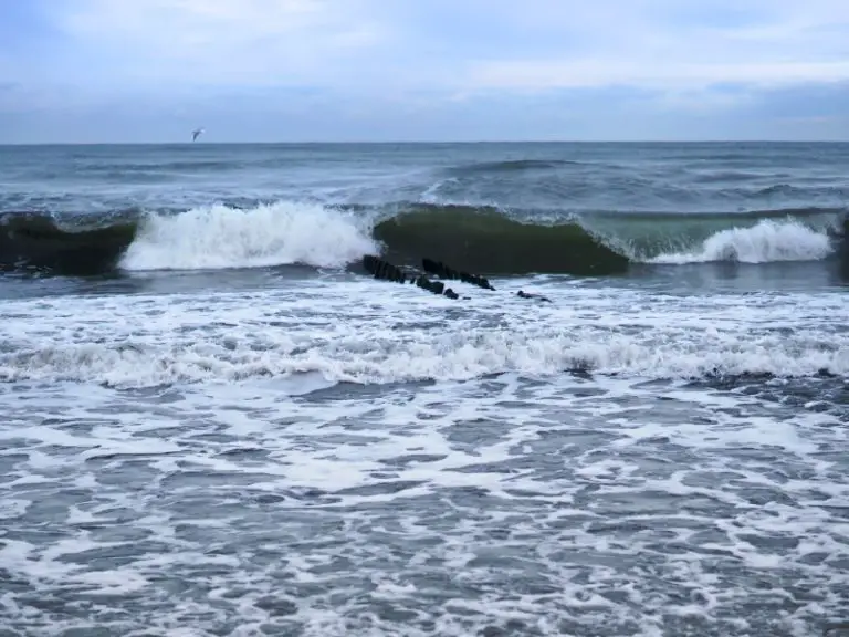 does-wind-affect-fishing-aquariumpub