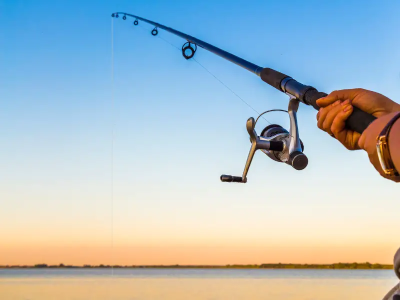 How Good Are Shakespeare Fishing Rods? AquariumPub