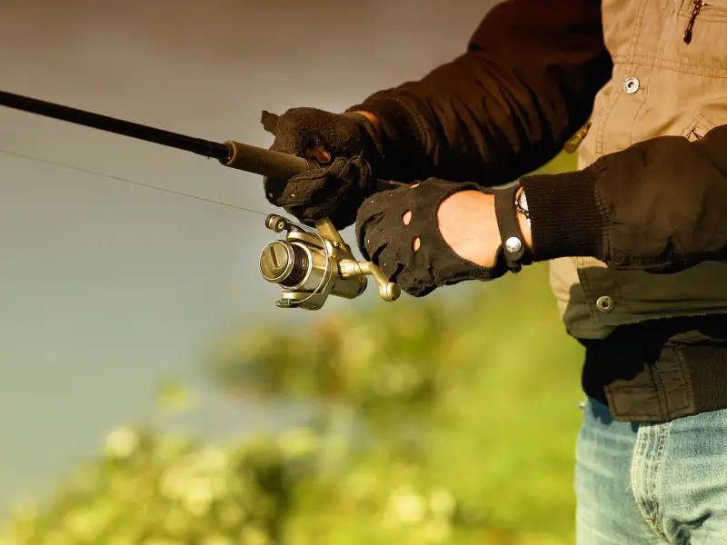 How Many Fishing Rods Per Person In Illinois? AquariumPub