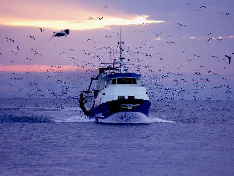 How Much Do Fishing Boats Cost? AquariumPub