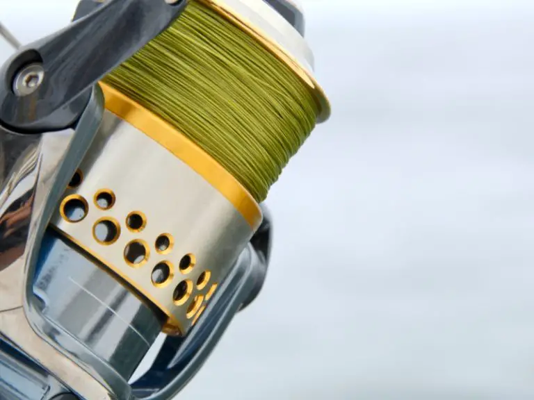 How Much Fishing Line to Put on a Reel