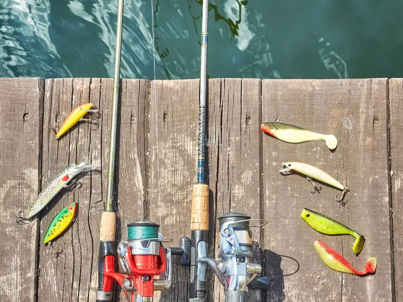 How Much Is A Good Fishing Rod? AquariumPub