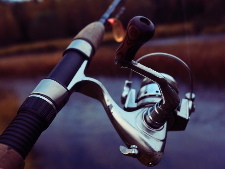 How To Choose A Fishing Rod