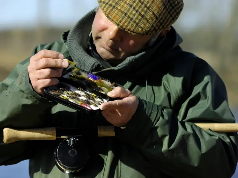 Types Of FlyFishing Flies (Beginners Guide) AquariumPub