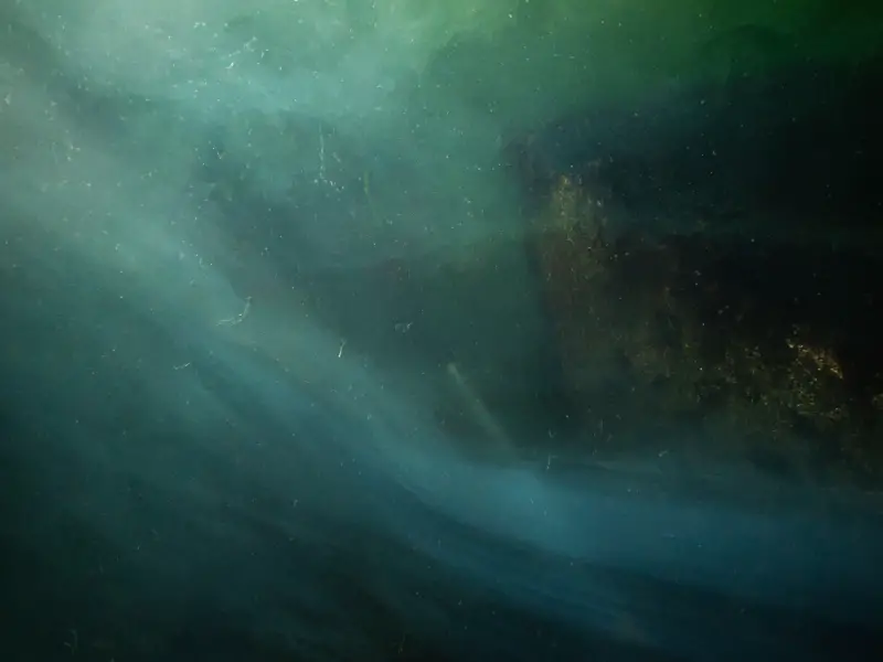 How To Find The Thermocline Without A Fish Finder AquariumPub