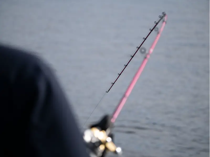 How To Put A Fishing Line On A Baitcasting Reel? AquariumPub