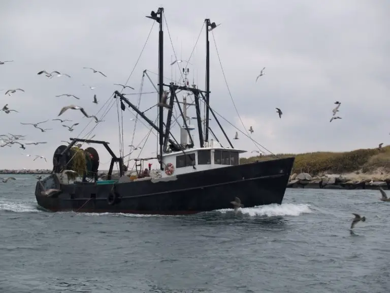 How to Start a Commercial Fishing Business