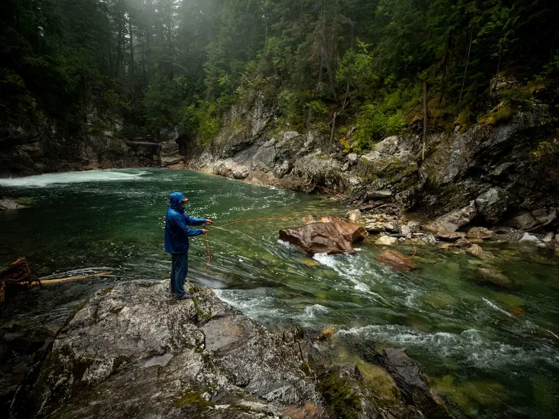 Is Fly Fishing Hard To Learn? Not With These Steps AquariumPub