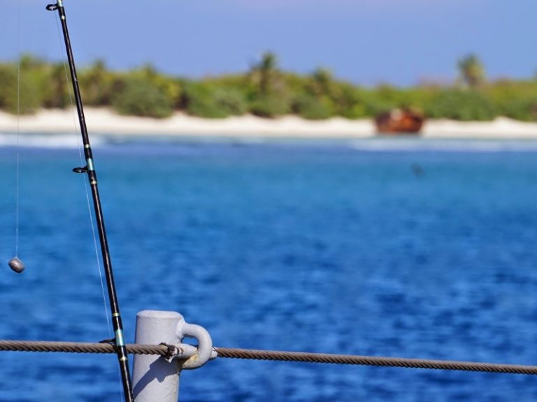 Do You Need A License To Fish In The Ocean? AquariumPub