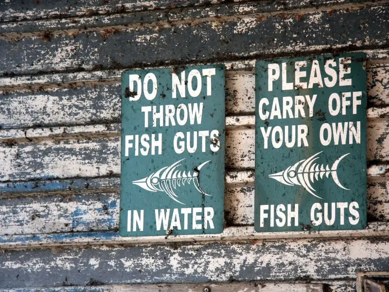 Is It Legal To Throw Fish Guts In The Water? AquariumPub