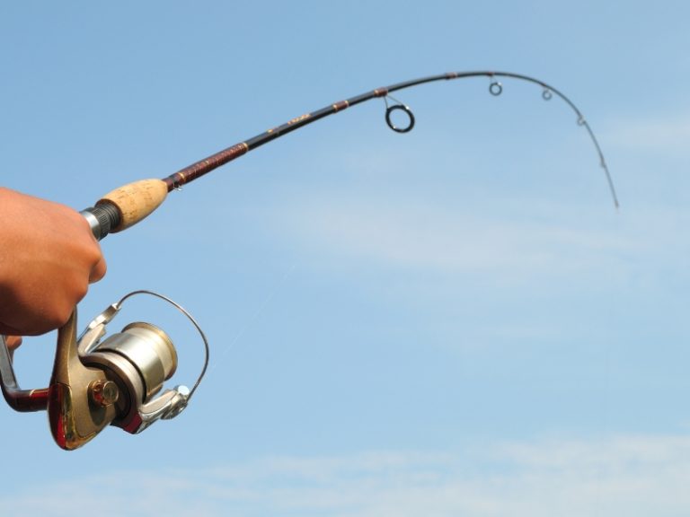 Can You Use WD40 On Fishing Reels? AquariumPub