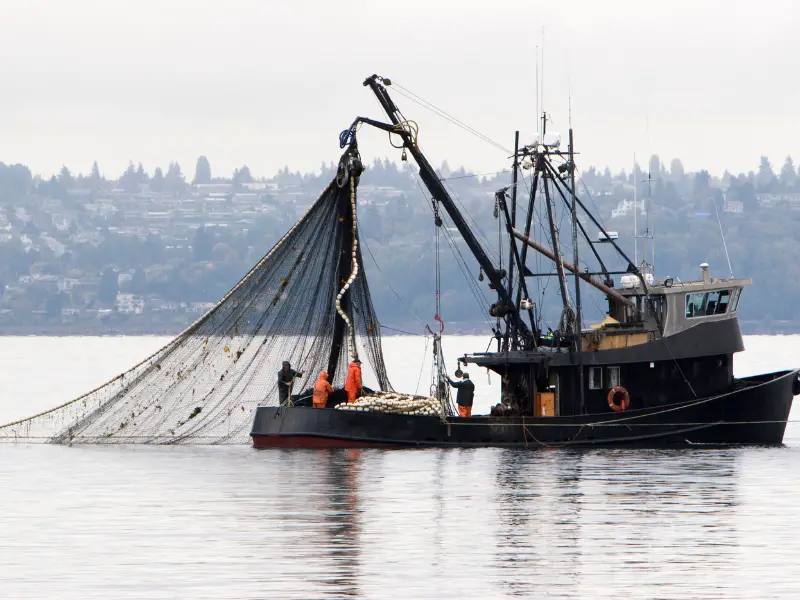 Is commercial fishing profitable