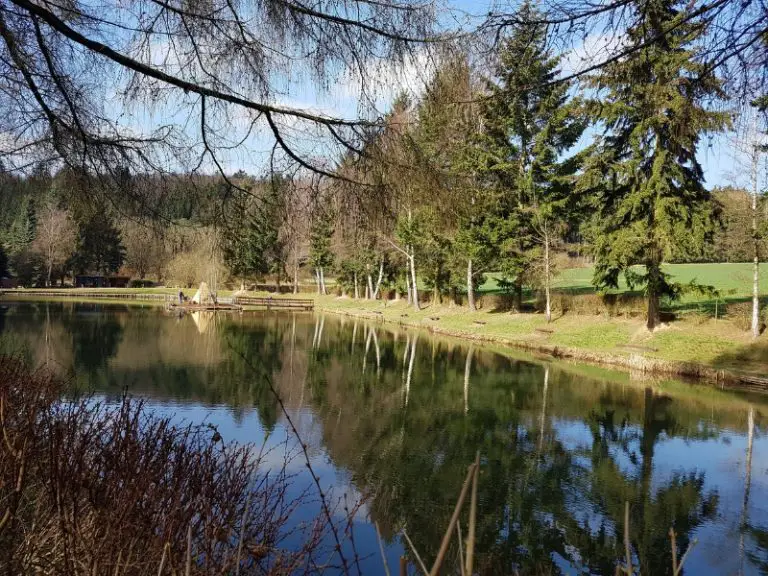 Pay To Fish Ponds in Texas