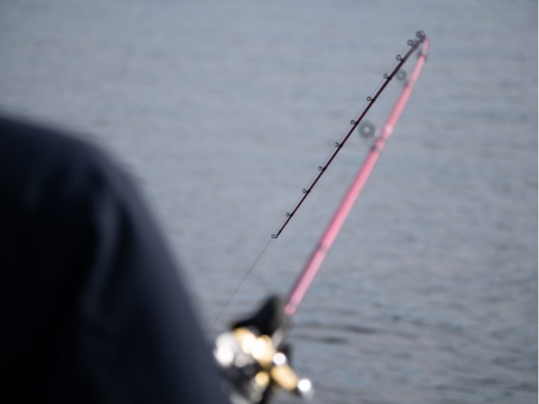The Various Pound Tests Used For Bass Fishing AquariumPub