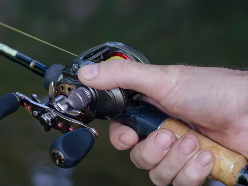 Should You Get a Casting or Spinning Rod
