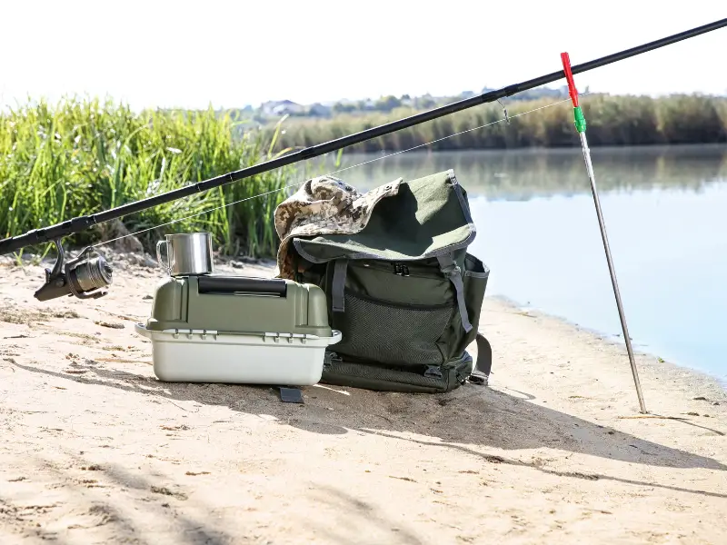 Trout Fishing: 25 Essentials Every Beginner Needs To Know - AquariumPub