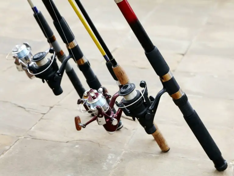 Types Of Fishing Rods