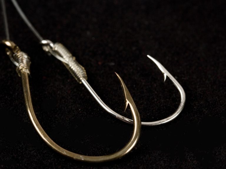 Do Fishing Hooks Dissolve? AquariumPub