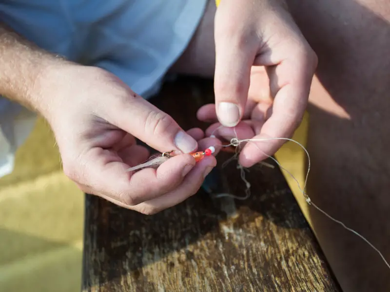 Types of Fishing Lines for Trout